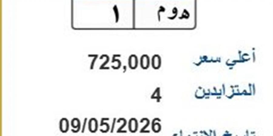 طرح لوحة «ه وم- 1» بسعر 725 ألف جنيه