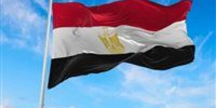 مصر تعلن تضامنها الكامل مع الإمارات وتدعم كافة إجراءات حماية سيادتها
