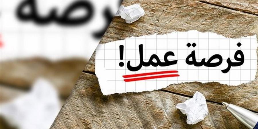 مديرية العمل بالمنوفية تعلن توفير 110 فرص عمل للشباب بمختلف التخصصات
