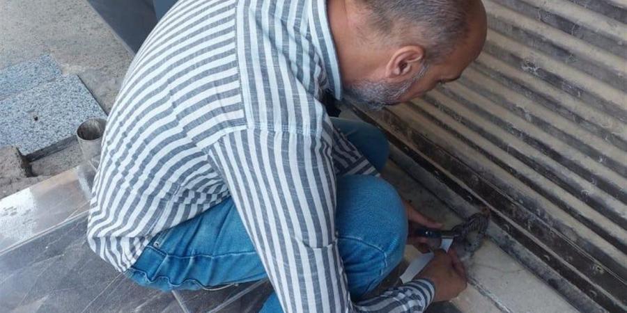 محافظ المنيا: تشميع 31 منشأة وتحرير 111 محضرًا في حملات تفتيشية مكبرة