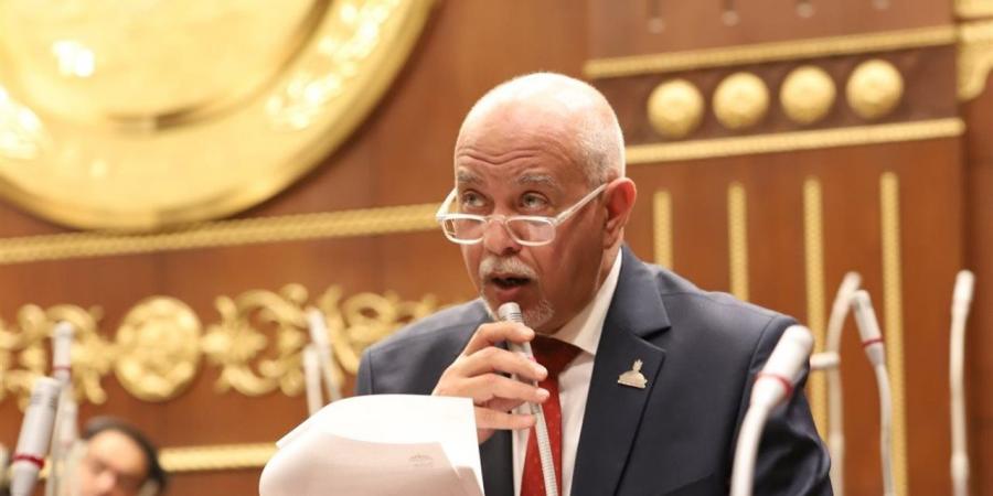 برلماني: كلمة الرئيس السيسي في افتتاح سنجور تعكس رؤية استراتيجية لبناء الإنسان الإفريقي