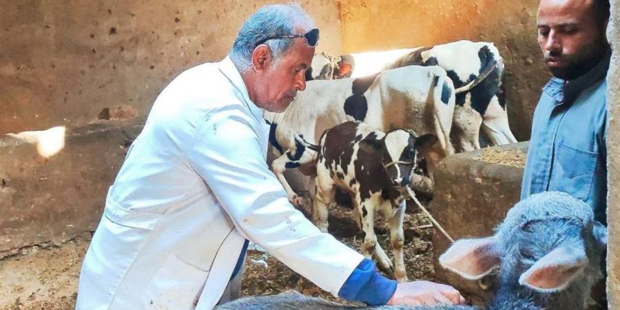 "بيطري الشرقية": تحصين 339 ألفا و195 رأس ماشية