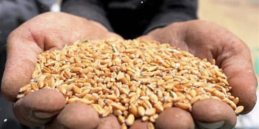 أسعار الحبوب والزيوت بأسواق الوادي الجديد اليوم الأحد 10 مايو 2026