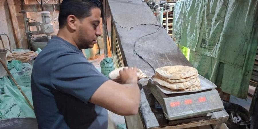 "تموين الغربية": تحرير 42 محضرًا خلال حملات رقابية موسعة على المخابز البلدية