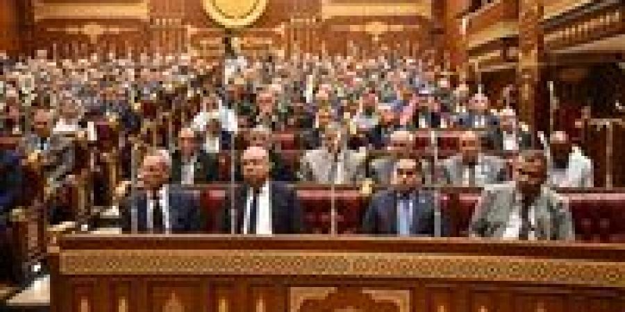 النائب أحمد العادلي: تطوير مصر للطيران والمطارات خطوة استراتيجية لتعزيز مكانة مصر وتنافسية النقل الجوي الدولي