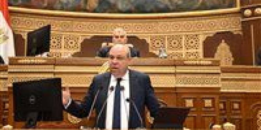 53 مليون دولار في شهر.. وزير الطيران يكشف خسائر مصر للطيران بسبب الحرب وارتفاع الوقود