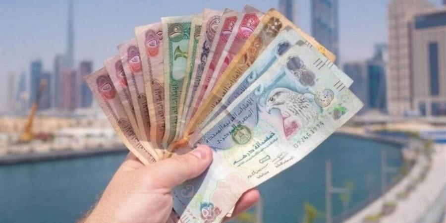 سعر الدرهم الإماراتي أمام الجنيه المصري الأربعاء 13/5/2026