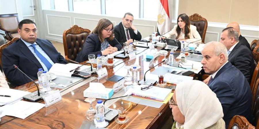 آخر تطورات تنفيذ وحدات محدودي الدخل ضمن المبادرة الرئاسية "سكن لكل المصريين"
