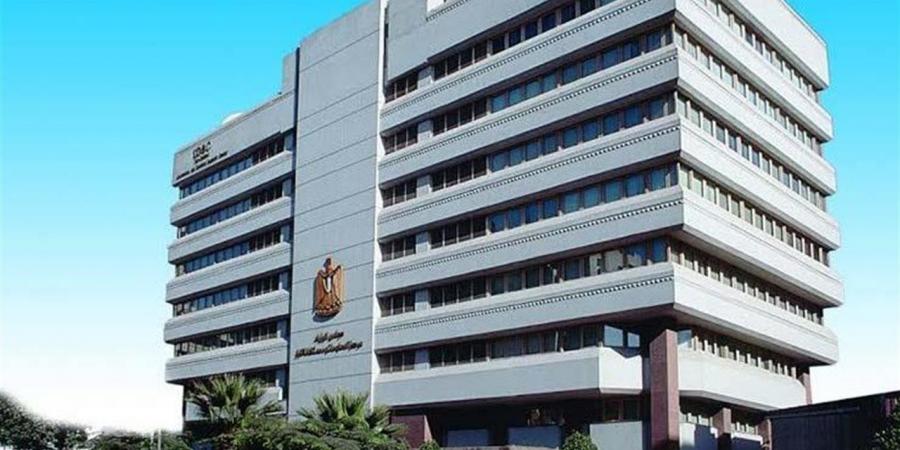 "معلومات الوزراء" يكشف دور التوظيف المتعلق بالتجارة الدولية في تعزيز فرص العمل