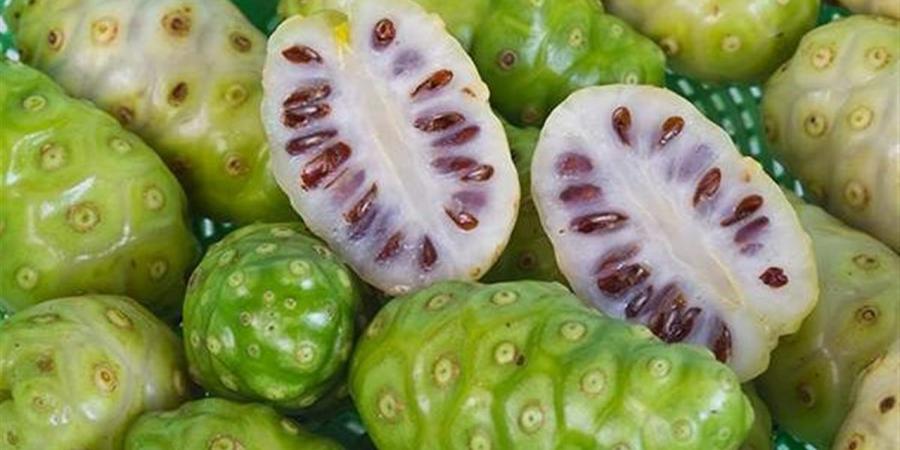 فاكهة تحارب سرطانات المعدة