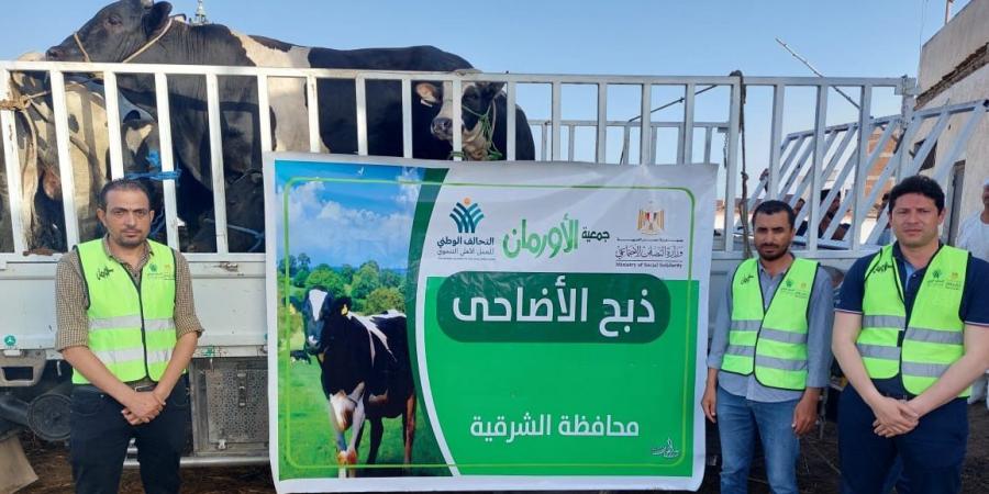خلال عيد الأضحى ... 50 ألف كيلو لحوم أضاحى و50 عجل بلدى للأسر الاولى بالرعاية بالشرقية