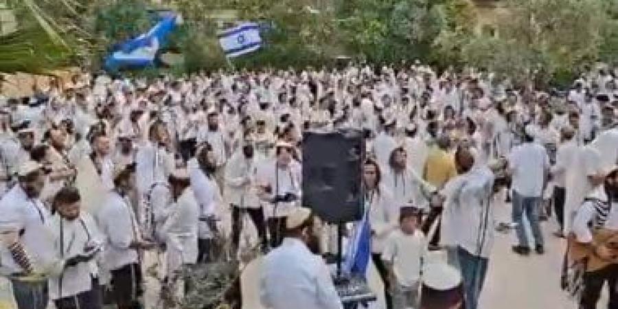 لأول مرة منذ احتلال الأقصى.. مستوطنون يؤدون صلوات عن باب الأسباط.. فيديو