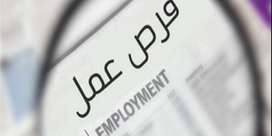 برواتب مجزية.. 500 فرصة عمل متاحة للشباب بمدينة بدر (تفاصيل)