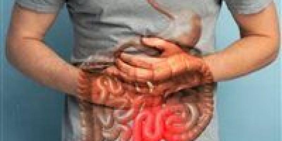 روشتة الراحة أستاذ الجهاز الهضمي :يكشف أطعمة صديقه واخري ضارة لمريض القولون العصبى