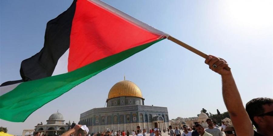 لينا شاهين: ذكرى النكبة تؤكد أن القضية الفلسطينية حية رغم مرور سبعة عقود