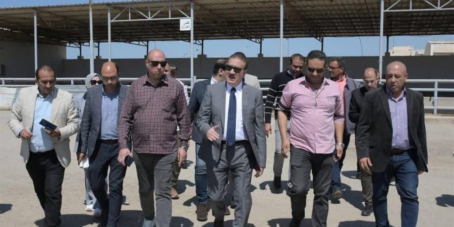 بورسعيد ترفع درجة الاستعداد القصوى بالمجازر الحكومية استعدادًا لعيد الأضحى