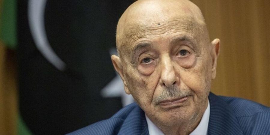 حسن عمار: زيارة عقيلة صالح تعكس وحدة الرؤية بين القاهرة وطرابلس تجاه القضايا الإقليمية