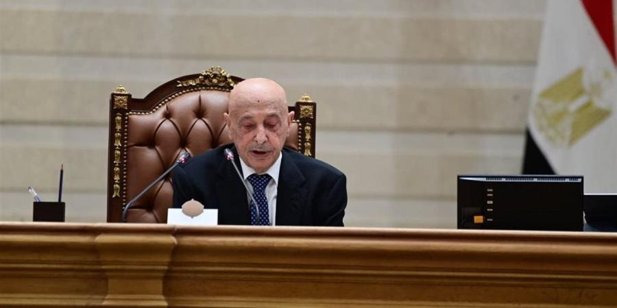 نواب: العلاقات المصرية- الليبية علاقات متجذرة تقوم على روابط الدم والنسب والثقافة والمصير المشترك