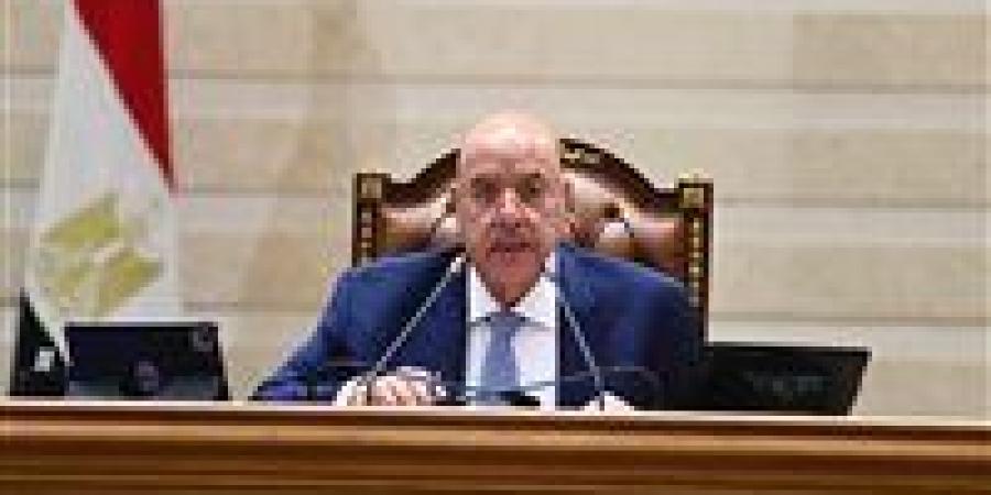 رئيس مجلس النواب يحيل مشروعي قانوني الرعاية البديلة والأسرة المصرية إلى اللجان المختصة