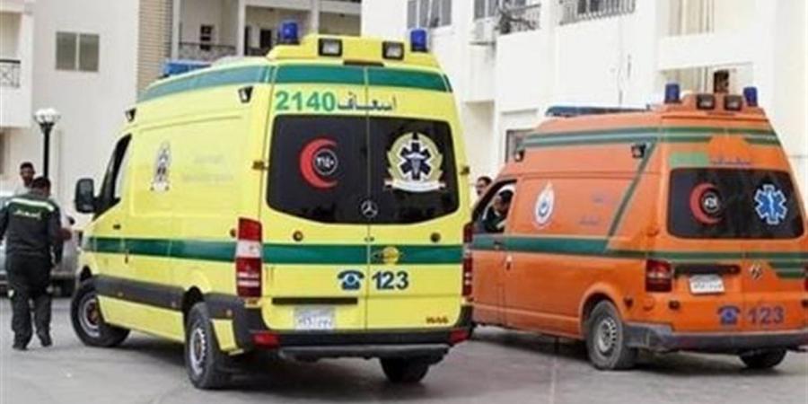 انتشال جثمان صياد لقي مصرعه غرقًا في بحر شبين بالمحلة الكبرى