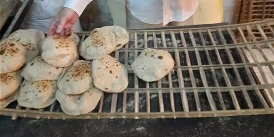 حملة تفتيشة مكبرة على المخابز في الغربية