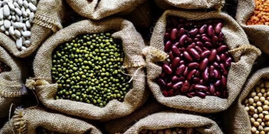 أسعار البقوليات بالغربية اليوم الأحد 24 مايو 2026