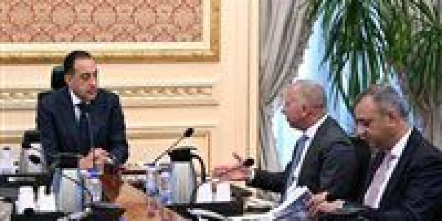 رئيس الوزراء يلتقى الرئيس التنفيذي والعضو المنتدب لشركة “السويدي إلكتريك”