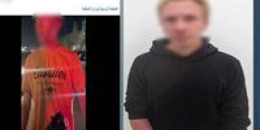 صرخاتها كشفت الواقعة.. ضبط شاب تعدى على طالبة بالضرب والتحرش في الجيزة