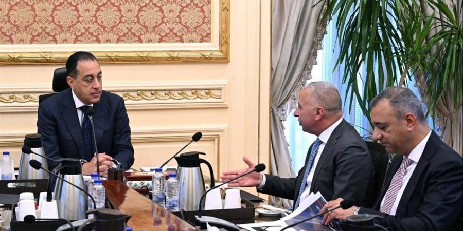 مدبولي يلتقى الرئيس التنفيذي والعضو المنتدب لشركة "السويدي إلكتريك"