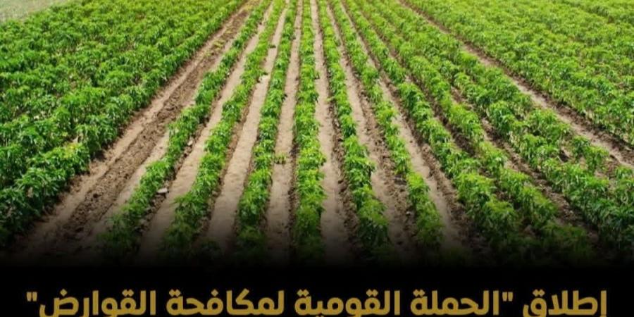 إطلاق "الحملة القومية لمكافحة القوارض" لمنع التسلل إلى الكتل السكنية ومخازن الغلال