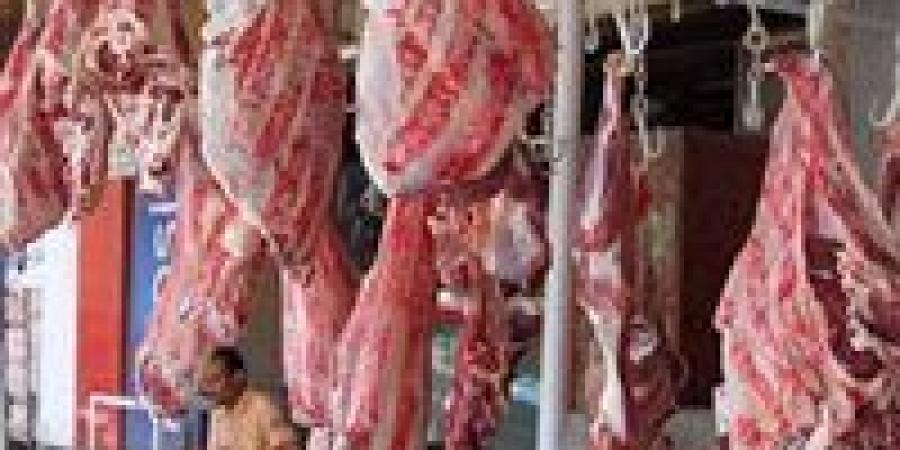 خطة طوارئ تموينية لعيد الأضحى: ضخ لحوم طازجة بخصومات تصل إلى 30% وتأمين الخبز البلدي
