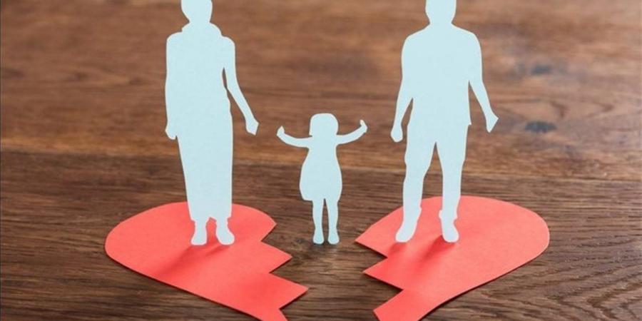 دعوى الرؤية في محكمة الأسرة.. الإجراءات والمستندات المطلوبة
