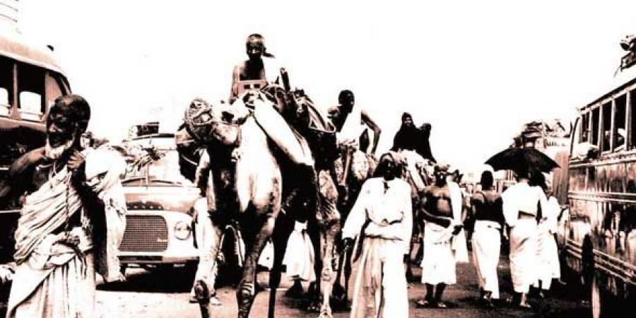 حكومة مصغرة.. قوافل الحج عبر سيناء جسدت عظمة الحضارة المصرية