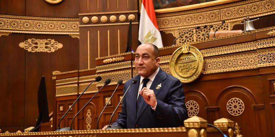عضو بالشيوخ: السوشيال ميديا أصبحت أداة لحروب الجيل الرابع ونشر الشائعات
