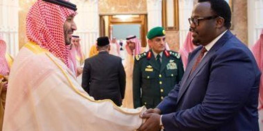 نائب رئيس الوزراء الصومال يلتقي ولي عهد السعودية في مكة لبحث تعزيز العلاقات