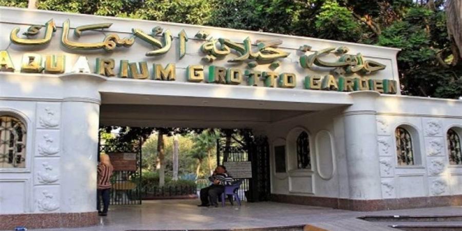مدير إدارة حدائق الحيوان والطيور والأسماك: أكثر من 66 ألف زائر للحدائق الإقليمية وحديقة الأسماك