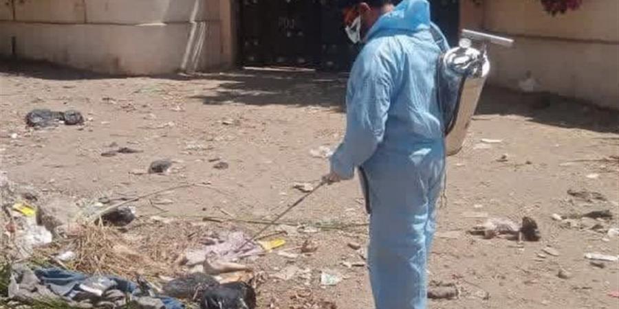 حملة مكبرة لمكافحة ناقلات الأمراض في عيد الاضحى بدمياط