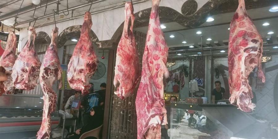أسعار اللحوم الحمراء اليوم الأحد 31من مايو 2026