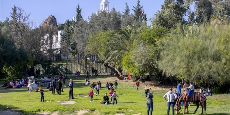 نسرين رمضاني تكشف تفاصيل إعادة فتح حديقة "البلفيدير" في تونس