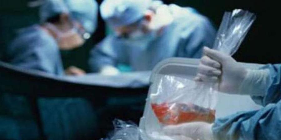 بيع الأعضاء البشرية.. عقوبة الوسيط والطبيب والمستفيد