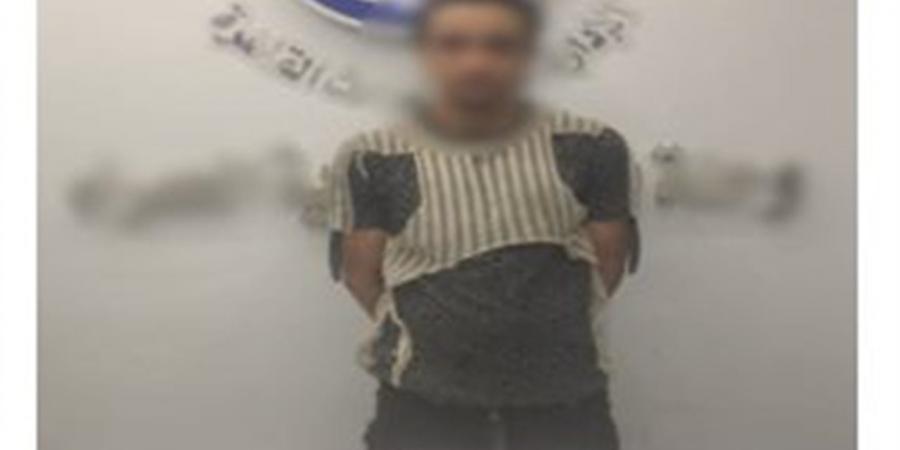 تأجيل استئناف عاطل متهم بالتنقيب عن الآثار داخل منزل بالمرج