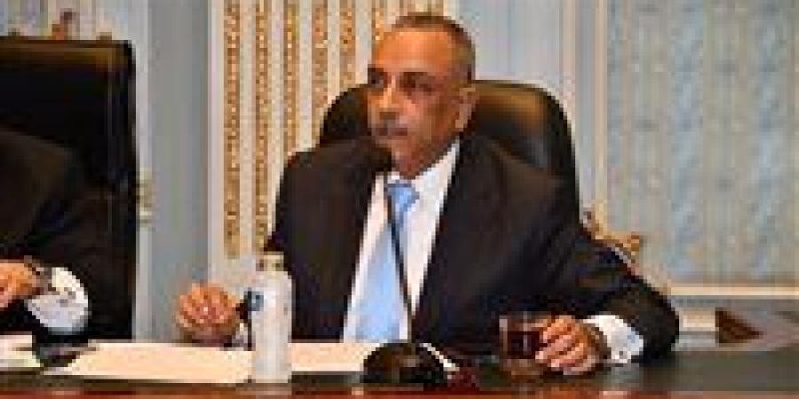 الطماوي: اللائحة التنفيذية لقانون لجوء الأجانب تعزز حماية اللاجئين وتدعم الأمن القومي