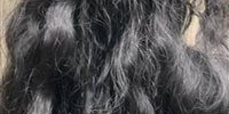 شعرك تاجك..7 عادات تدمره وخبراء يكشفون سر قوتة ولمعانه