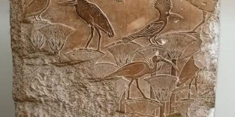 كيف حرص المصري القديم على حماية التنوع البيولوجي؟