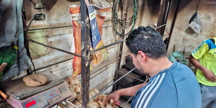 تحرير 58 مخالفة خلال حملات استهدفت مخابز بلدية بزفتى وقطور وطنطا والمحلة الكبرى