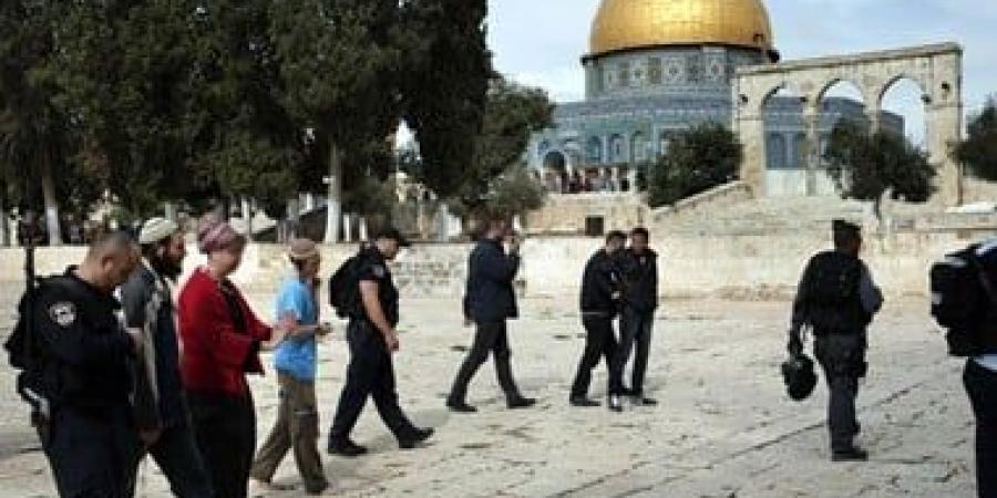 محافظة القدس: دمج جماعات «الهيكل» داخل شرطة الاحتلال بالأقصى تصعيد خطير