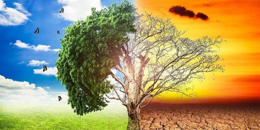 أستاذ فيروسات: اقتحام الإنسان للبيئات البرية والتغيرات المناخية وراء عودة الأوبئة القديمة