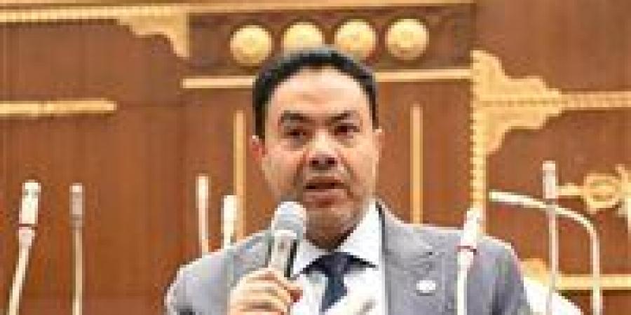 طاقة الشيوخ تبحث مقترح الشرقاوي بشأن مراجعة آلية محاسبة العدادات الكودية الأسبوع المقبل