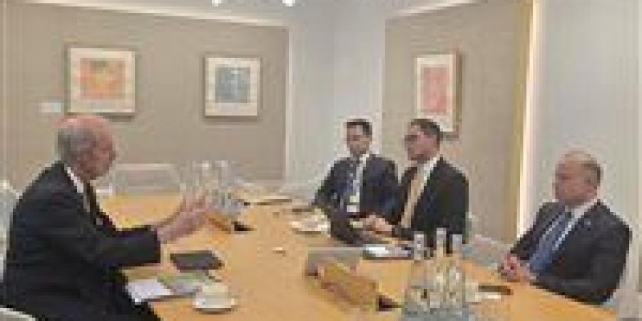 وزير الاستثمار يبحث مع رئيس ASC Water and Energy توطين حلول الطاقة والمياه وجذب استثمارات الشركة لمصر