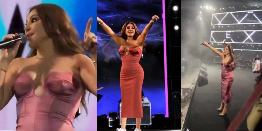 بدون حذاء.. إليسا تشغل أجواء المسرح في حفلها بالجامعة الأمريكية| صور